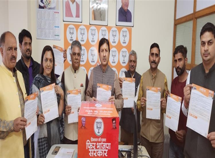 Himgiri Samachar:Bjp--Vision-Document