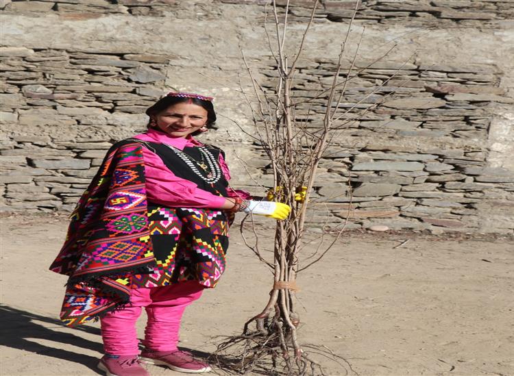 Himgiri Samachar:Pangi--Thangi-plants--Survival--campaign